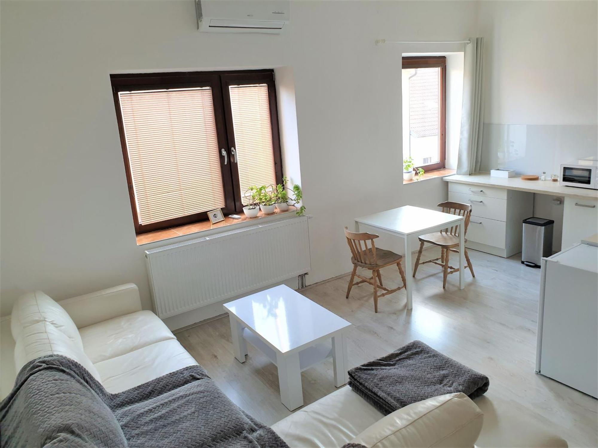 Brno Apartment 外观 照片